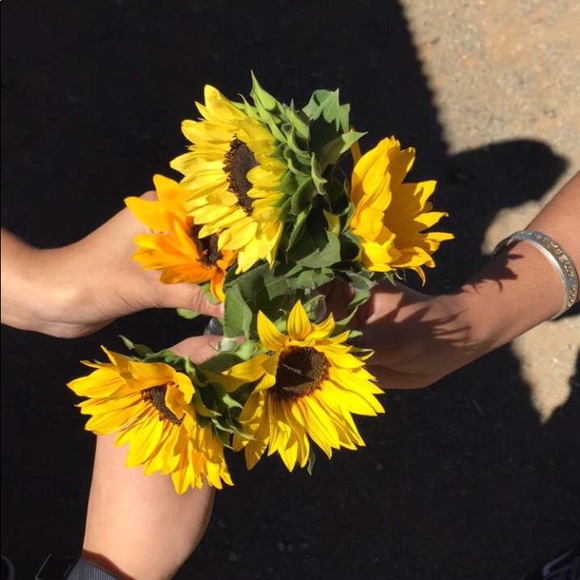 Meet your Posher, Alondra - Picture 1 of 1